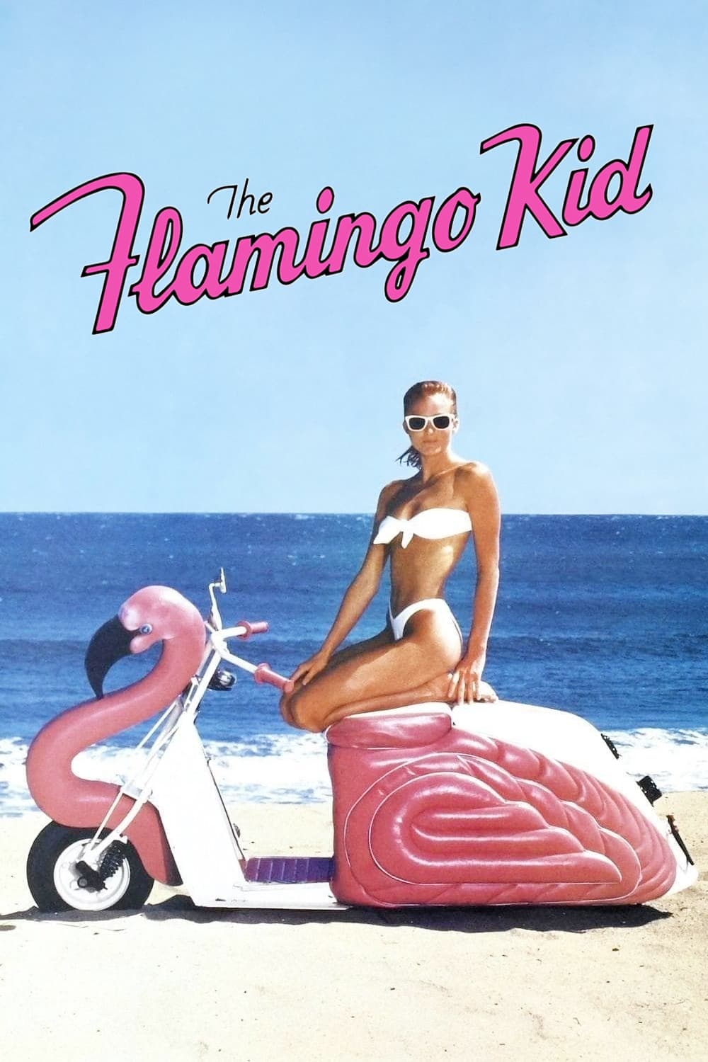 Постер The Flamingo Kid